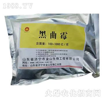 ����ù-��ɽ����