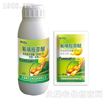 250��ÿ�����ǰ�����-���˰ل�