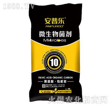 10�|ÿ���S�����ЙC(j��)̼΢�������-���՘����w������-�f�����B(t��i)