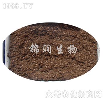 ����ù�P����-�\��(r��n)����