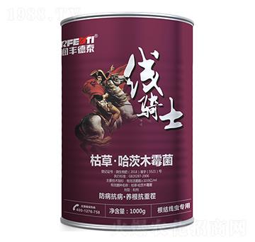 �ݲݡ�����ľù��-���Tʿ-��(r��n)�S��̩