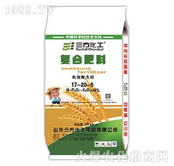 С���LЧ�䷽�ʏͺϷ���17-20-5-��������