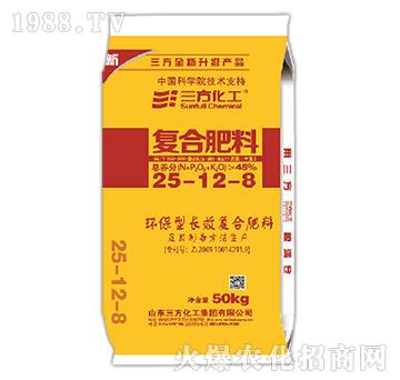 �LЧ�ʏͺϷ���25-12-8-��������