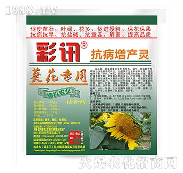 �������ÿ������a(ch��n)�`-��Ӎ-���S��