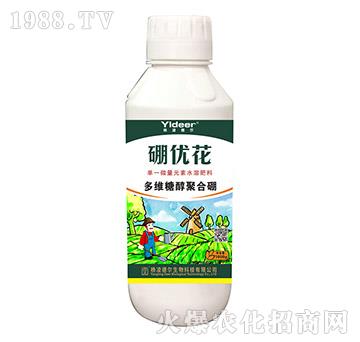 ��S�Ǵ��ۺ���-����(y��u)��-��?t��ng)����? width=