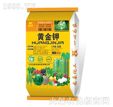 �S���-��������