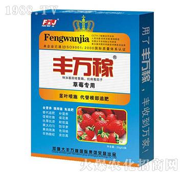 ��ݮ��(zhu��n)�÷�-�L(zh��ng)Ч������������{(di��o)�턩-�S�f(w��n)��