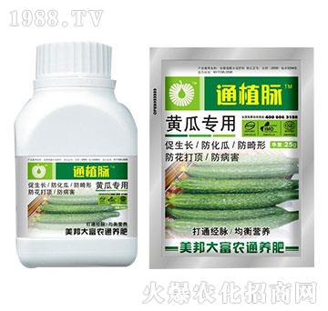 �S�ό��÷�-ֲͨ�}-����Ƽ�