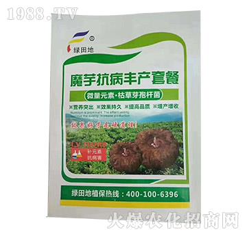 ħ�󿹲��S�a�ײ�-�𿵉�