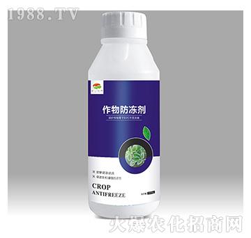 ���������-��������