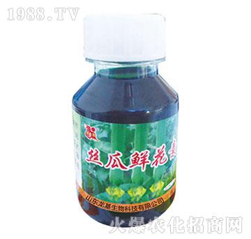 �z���r����-��������