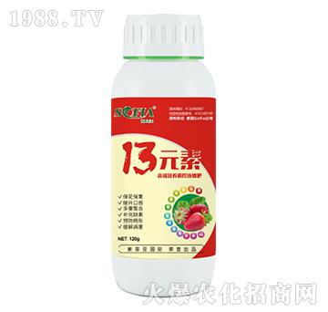 13Ԫ��-���Ɓ�