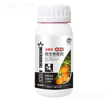 ƿ�b��(x��)��������΢�������-ʥ���r(n��ng)-��ʥ�r(n��ng)�I(y��)