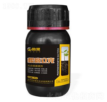 ��ϼ�������-��������-�չ�-�������r