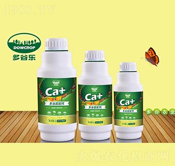 �����}-��Ș�(l��)