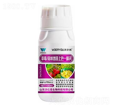 ��ݮ������������ɫһ���`-�֠���(y��u)