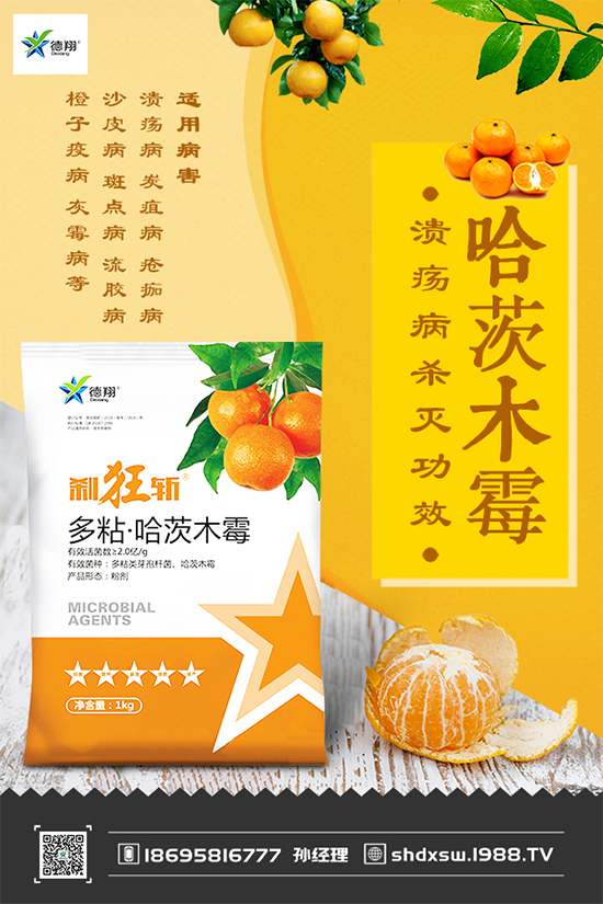 ���{(l��n)�ڰ߲�Σ���@ô��������ԓ��η�������������ɣ�