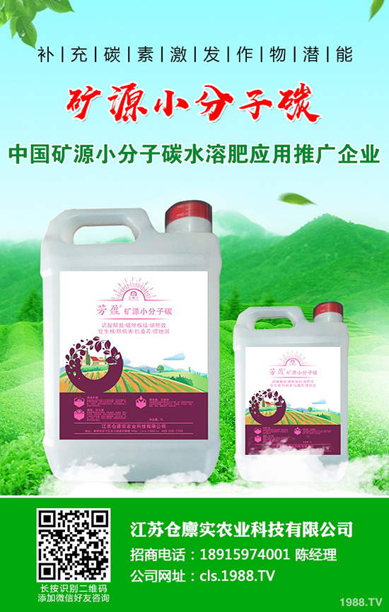 �R������l(f��)���߲���ô�k���R������߲����η�����