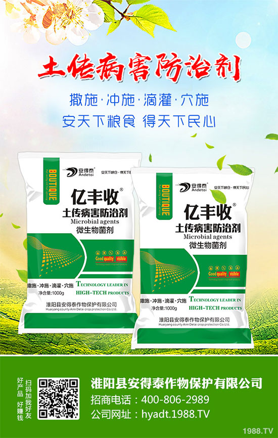 白蘿卜的功效與作用,白蘿卜營養(yǎng)價值!