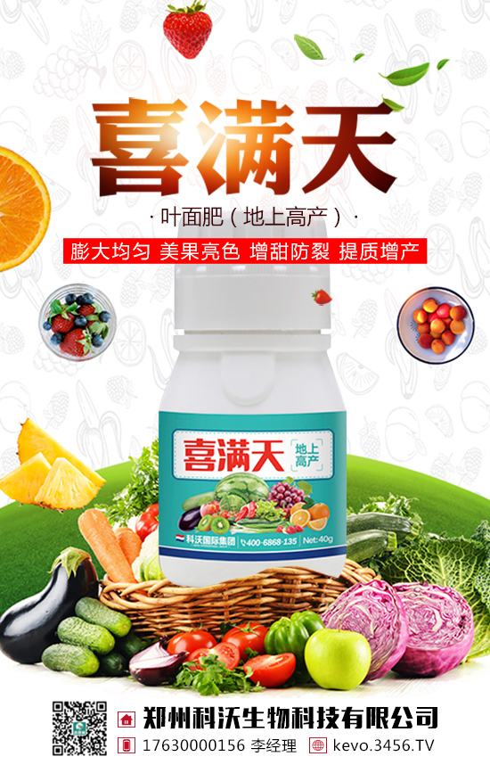 ���ݿ�������Ƽ����޹�˾2