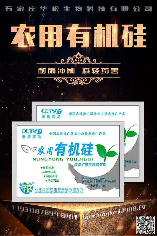 芹菜空心的原因是什么，如何預(yù)防芹菜空心？