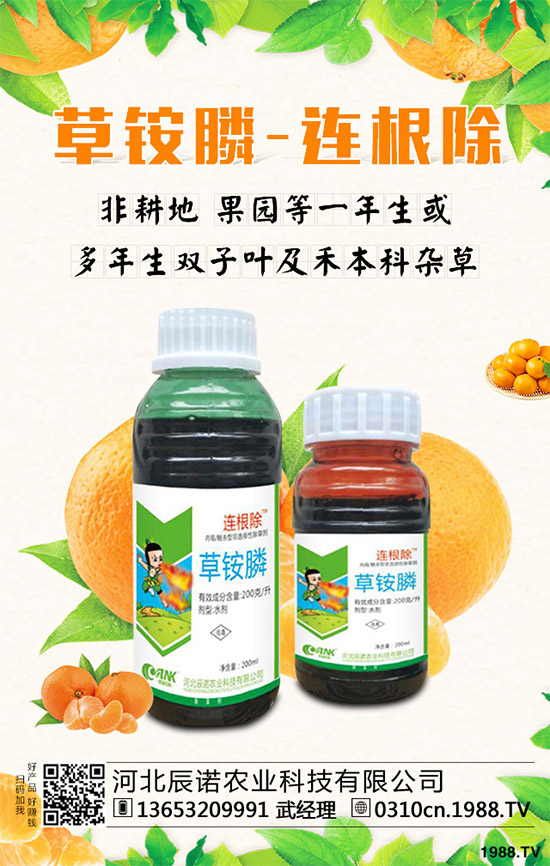 ����¡���݄��r��