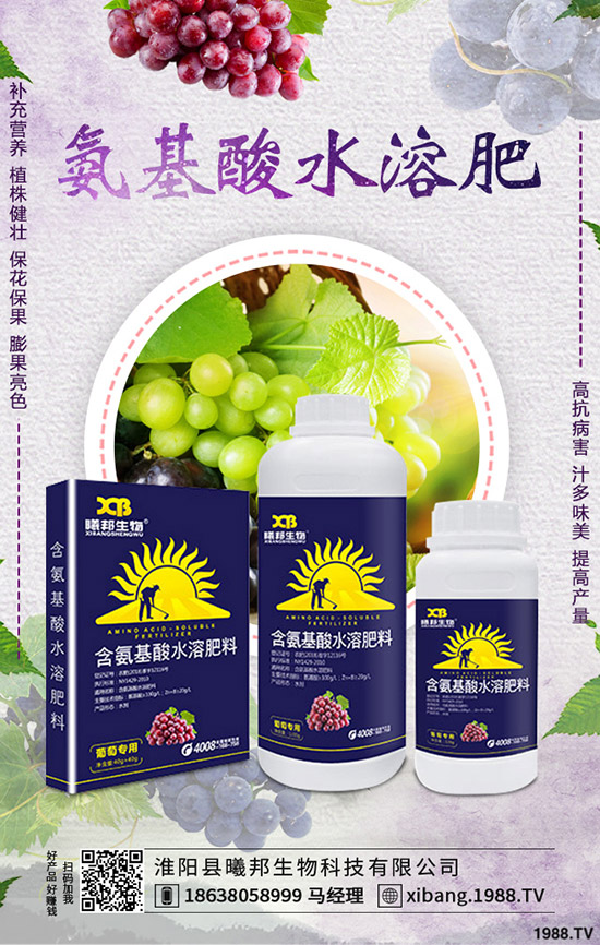 �＾�}����ô�Nֲ���＾�}���Nֲ���g(sh��)������Ҫ�c(di��n)��