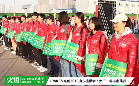 �F��ֱ����2019ɽ�|ֲ����ʢ���_Ļ��ǧ�̅R��������ȼ��ȫ��!