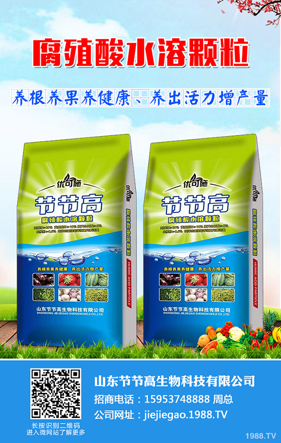     ���ص���(sh��)�ž���2019��10��ĩ����(n��i)�������������