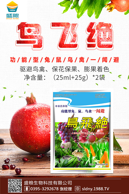 �������t������ڷ����������t���ڷ۷�������Щ��