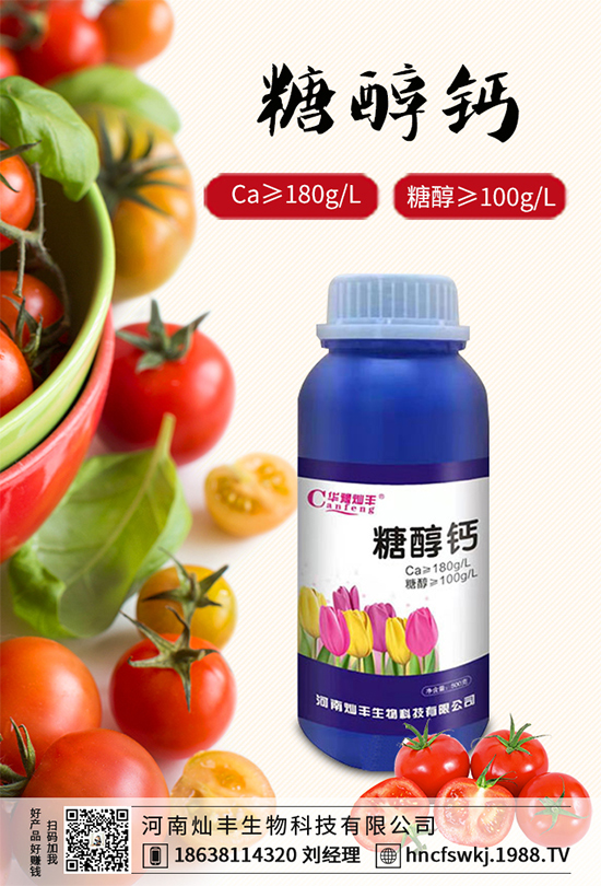 甘藍(lán)立枯病來(lái)襲,到底該如何防治?甘藍(lán)立枯病防治措施