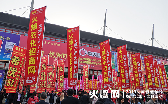 �r�Y��ʢ�䣺35000+ƽ����չ�[��10�f+�˾۽���2019����ʡֲ����ȼ��ȫ����