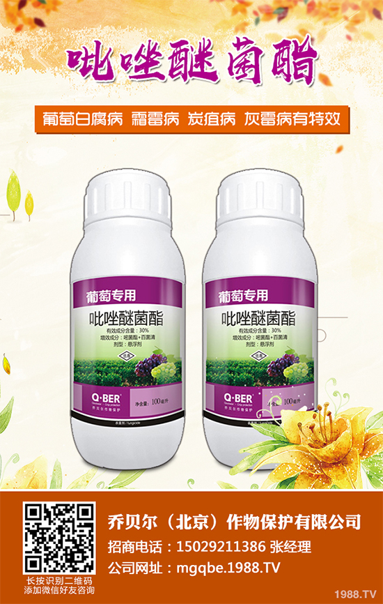     ��������X�������r��