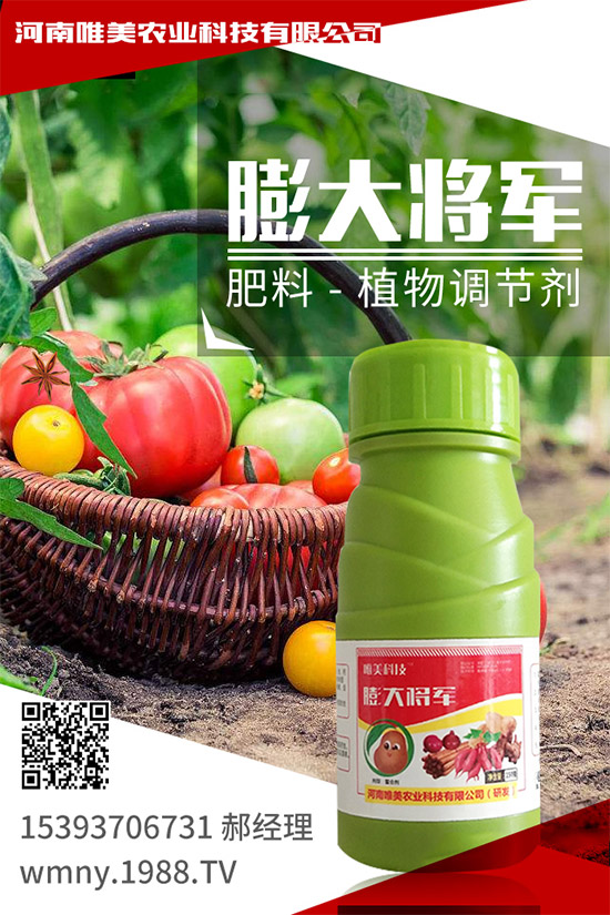 吃西柚有什么好處？挑選西柚的小技巧！