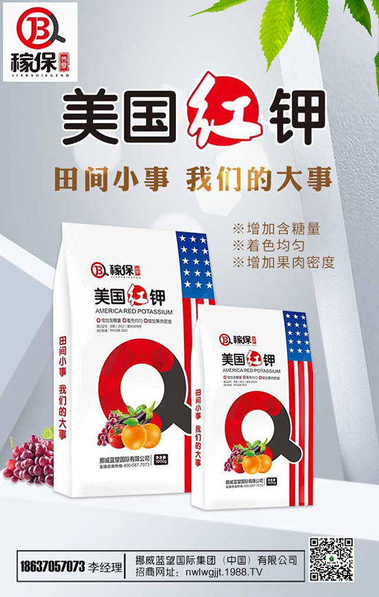 瑞香花養(yǎng)殖方法有哪些？瑞香花養(yǎng)殖注意事項(xiàng)！