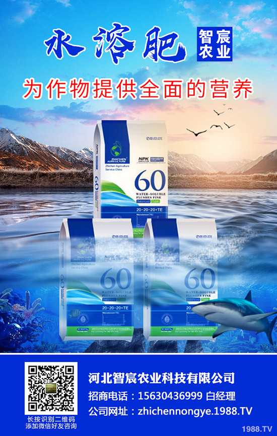 ���ӽ�����ʲôԭ����ɵ������ӽ�����η�����