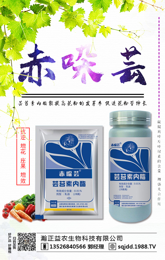 ���t����ʲô����������t��������ķ��η���