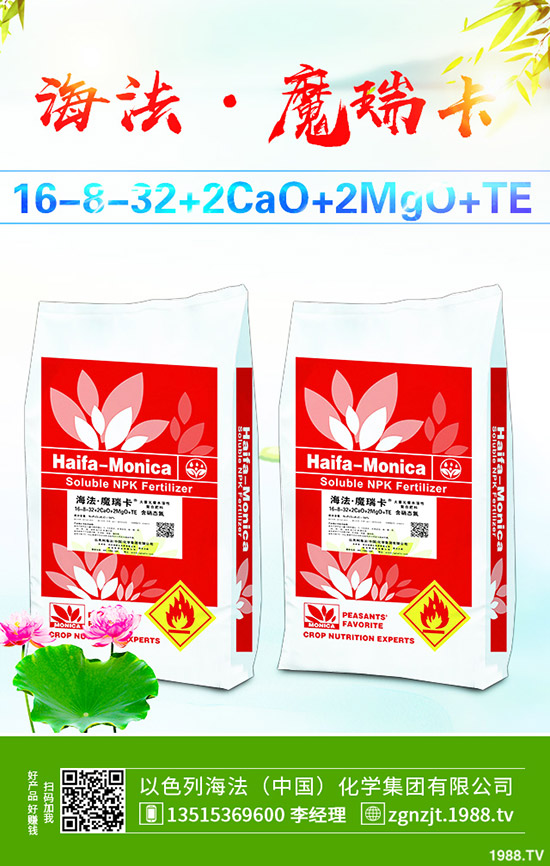     ����������D(zhu��n)��2019��11��27�ո��؅^(q��)�����������S��(b��o)�r(ji��)