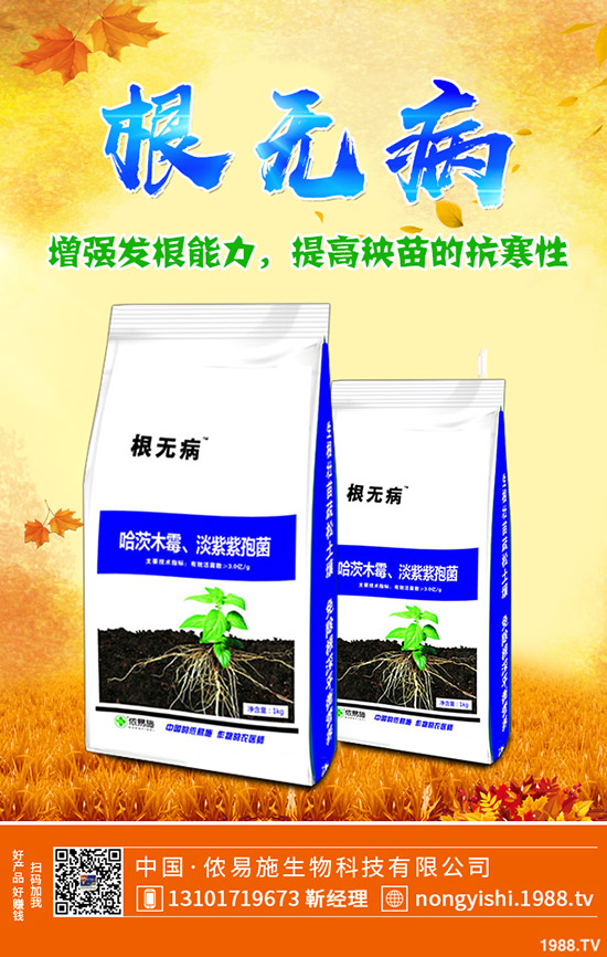     二銨冬儲(chǔ)市場緩慢！今日磷酸二銨主流出廠報(bào)價(jià)一覽2019-11-4