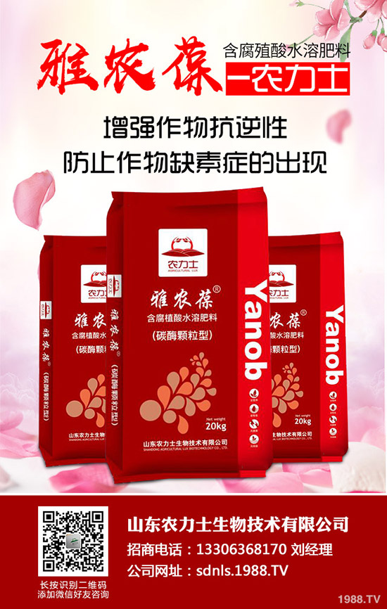     ����(ch��)δ�_ʼ�����@����δ�������ն��@���³��S�����r(ji��)��2019-11-5