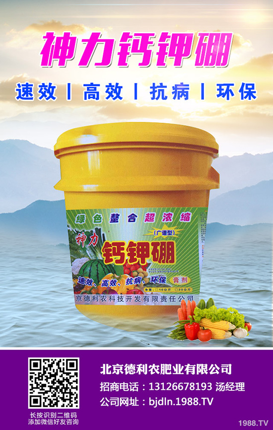 ���¹ϷNֲǰ����������¹ϷNֲҪ�c(di��n)��