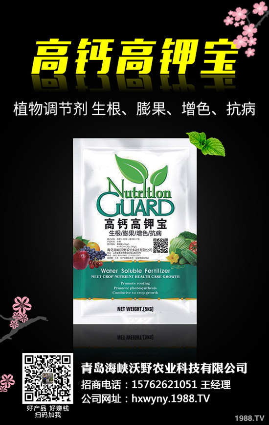 С�����s��ʲô�r����θ�����С���s�ݽ�Q������