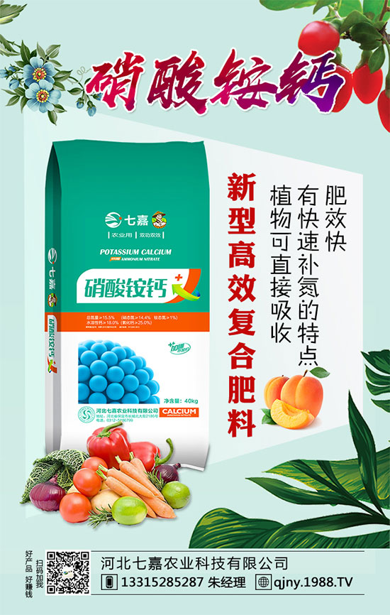 2020年茶籽價格多少錢一斤？油茶樹種植前景如何？（附種植技術(shù)）