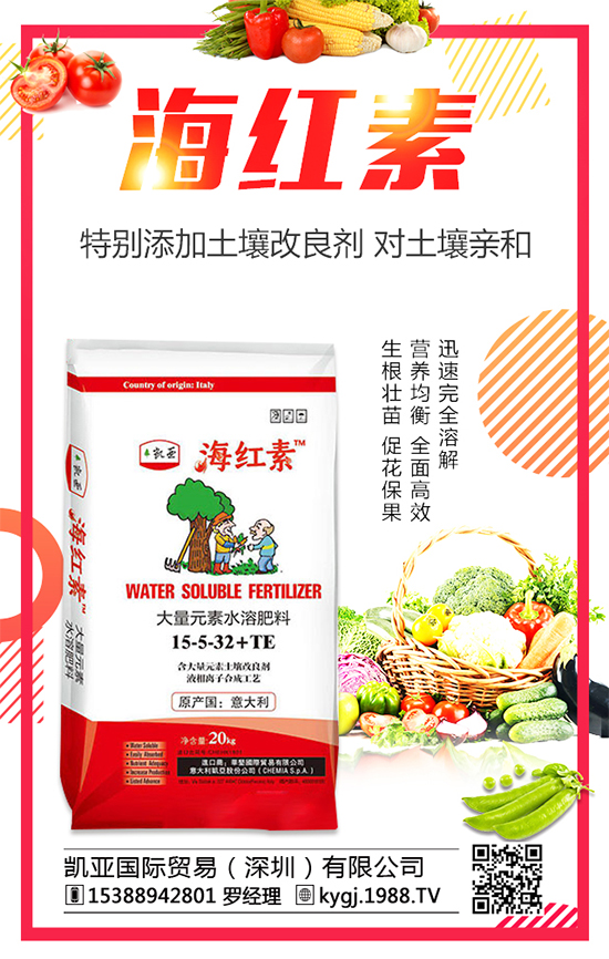 2020�껨���Nֲǰ�������������Nֲ�ĳɱ�������������	