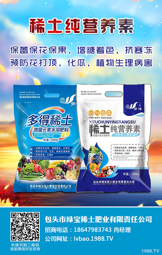 白蠟樹(shù)的種植技術(shù)有哪些?白蠟的日常養(yǎng)護(hù)管理!