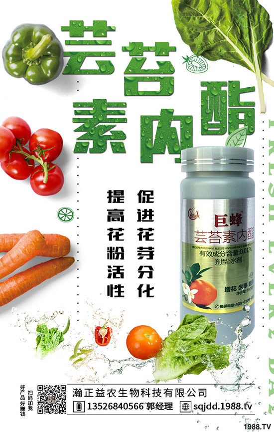 2019-12-18國內(nèi)鉀肥價(jià)格市場(chǎng)行情及行情走勢(shì)分析