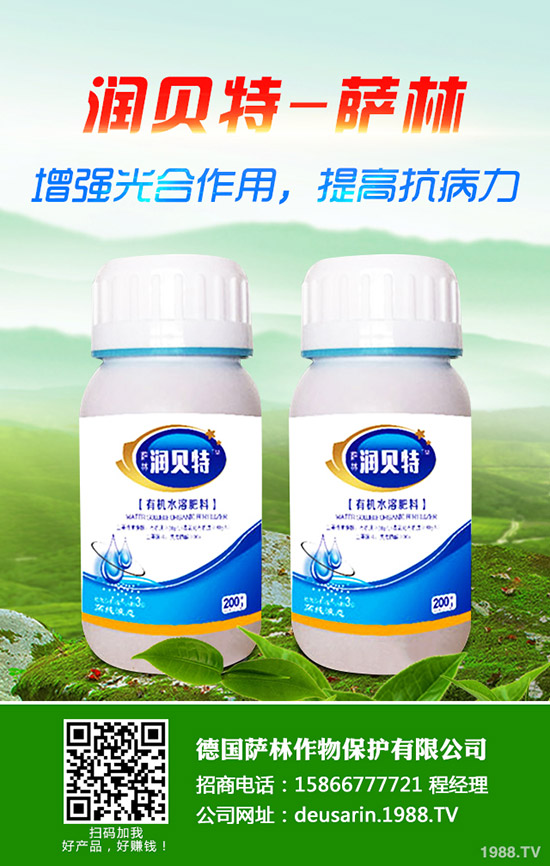 2019-12-19��(gu��)��(n��i)���؅^(q��)⛷�������(b��o)�r(ji��)һ�[��