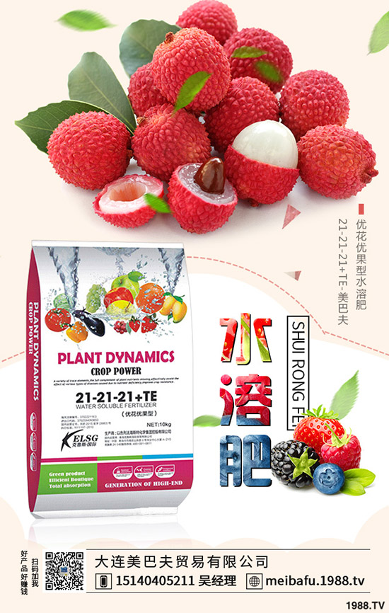 2019-12-19���@�r�����f�Ӹ߲��������؅^(q��)���@���������