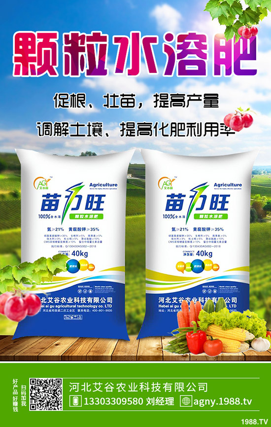 生姜什么時(shí)候種，生姜的種植條件有哪些？