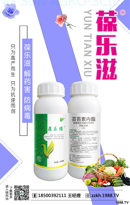 花椰菜黑腐病危害有哪些？花椰菜黑腐病的防治措施！